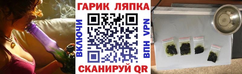 ГАШ Premium  Шуя 