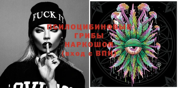 PSILOCYBIN Медвежьегорск